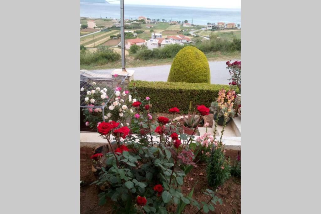 villa roses-mourteri Extérieur photo