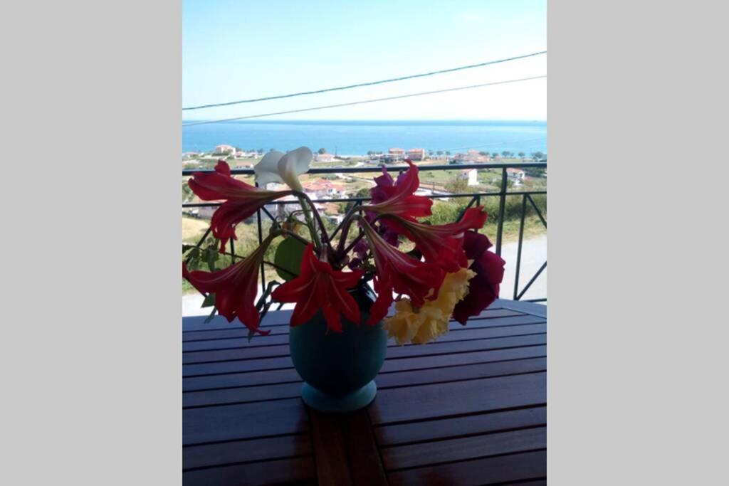 villa roses-mourteri Extérieur photo